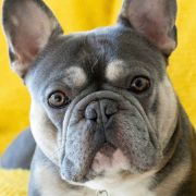 MASTER PRODUCT PAGE Product 2